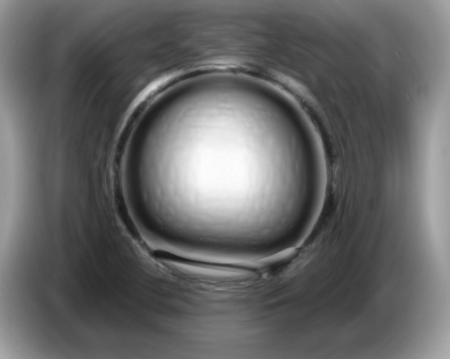 X0000086781412200704271801