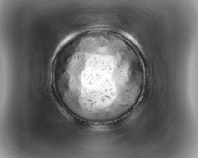 X0000086781413200704271801