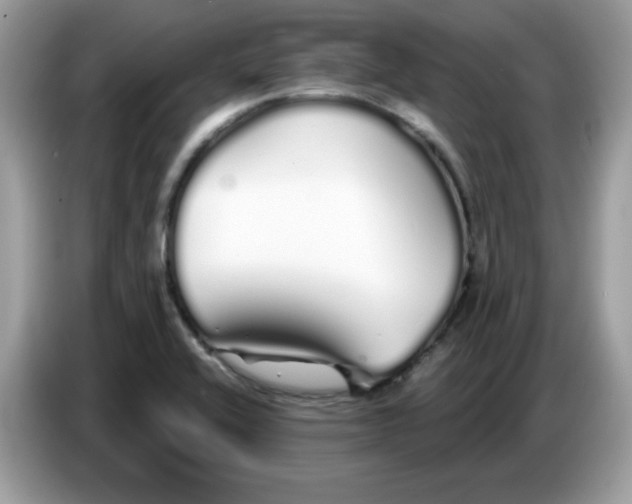 X0000086781416200704271801