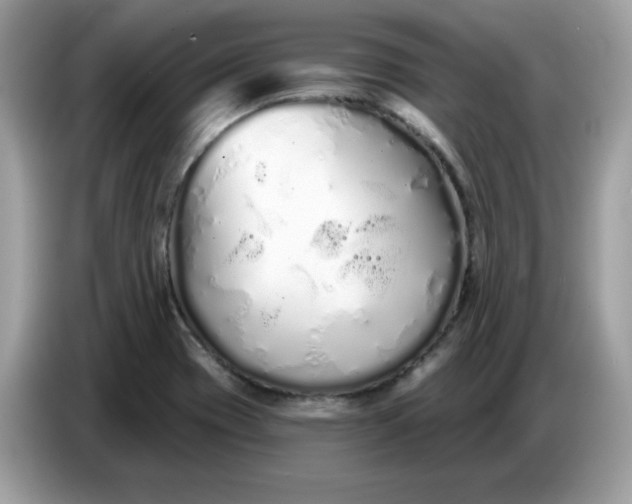 X0000086781417200704271801