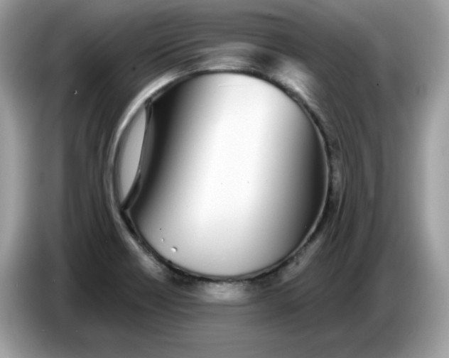 X0000086781418200704271801