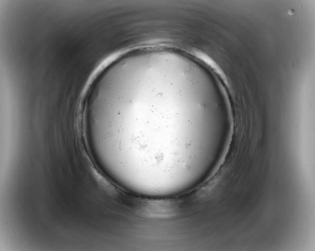 X0000086781421200704271801