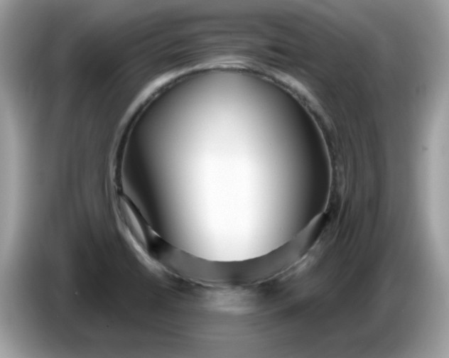 X0000086781422200704271801