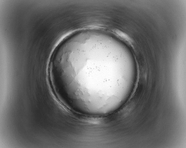 X0000086781423200704271801