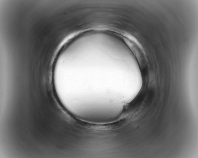 X0000086781424200704271801