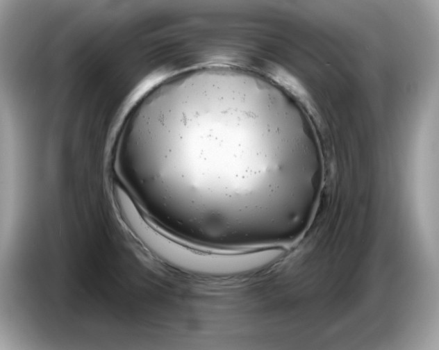 X0000086781427200704271801