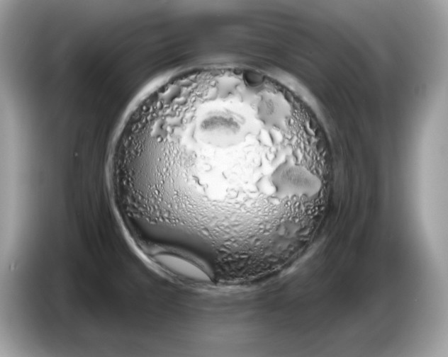 X0000086781429200704271801