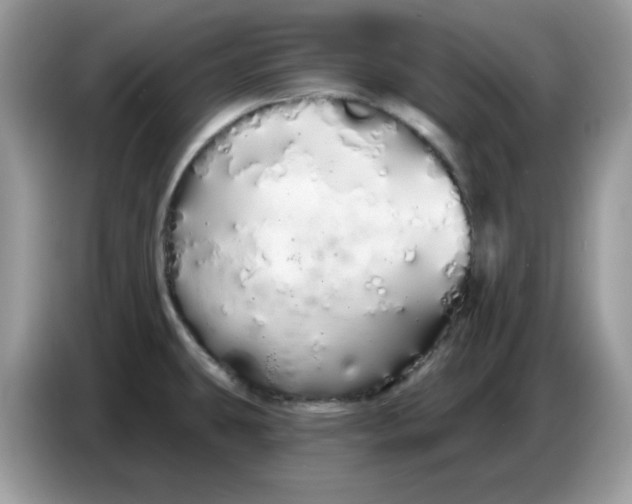 X0000086781431200704271801