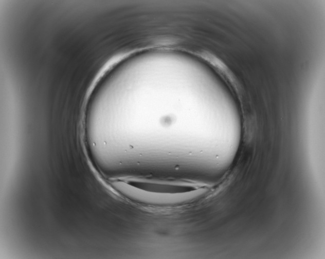 X0000086781432200704271801