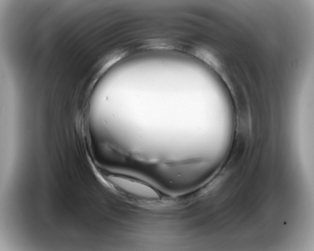 X0000086781433200704271801