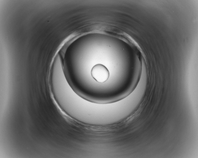 X0000086781434200704271801