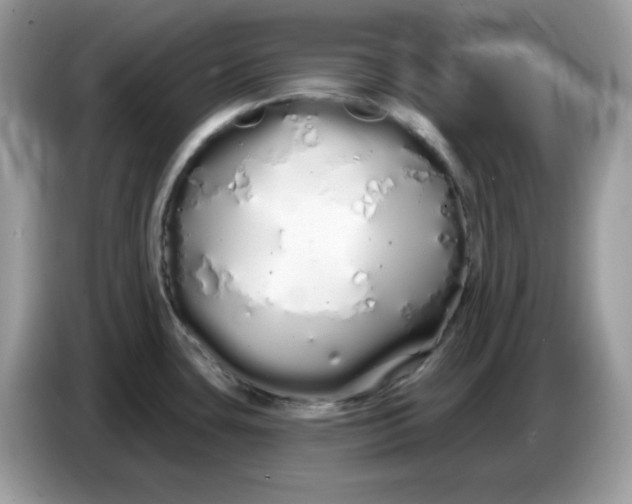 X0000086781435200704271801