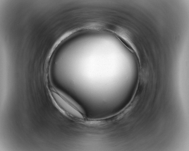 X0000086781437200704271801