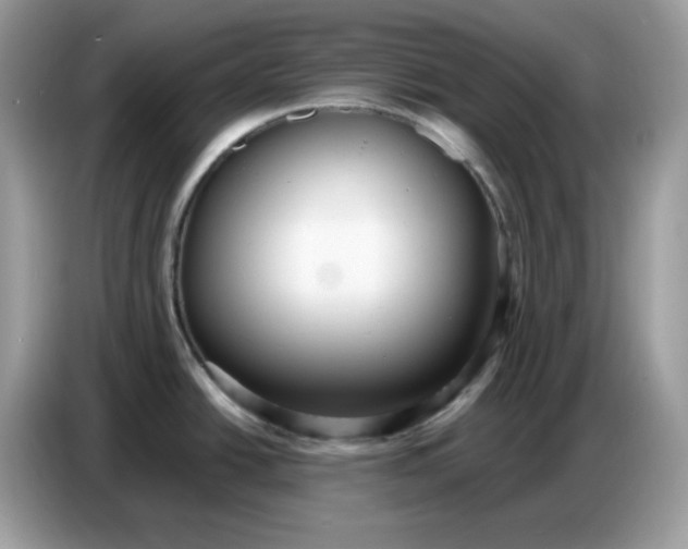 X0000086781438200704271801