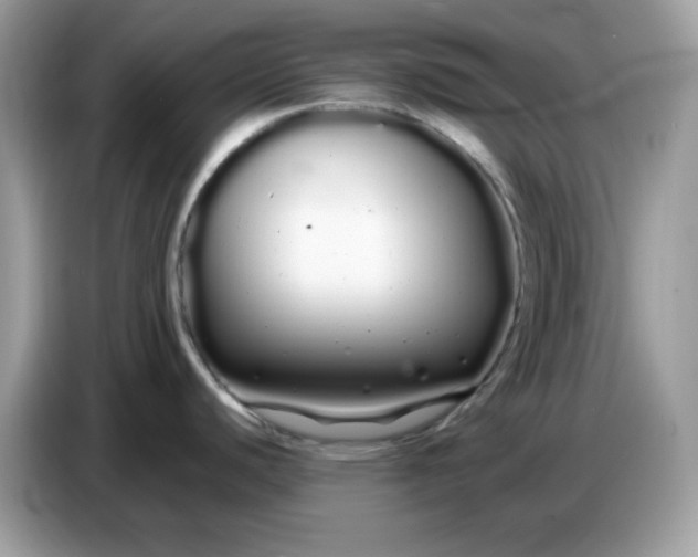 X0000086781440200704271801