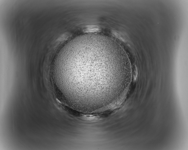 X0000086781441200704271800