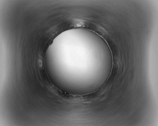 X0000086781442200704271800