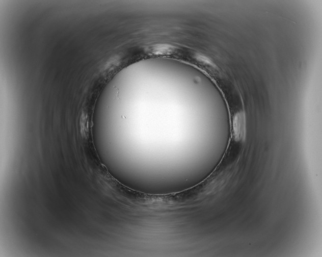 X0000086781443200704271800