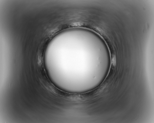 X0000086781444200704271800