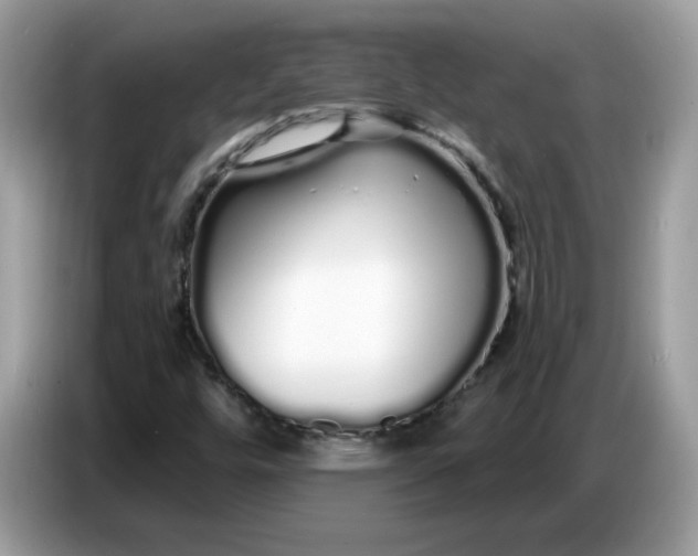 X0000086781448200704271800