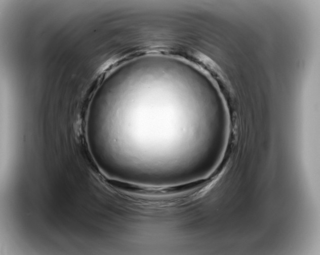 X0000086781449200704271800