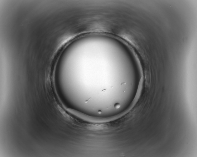 X0000086781452200704271800