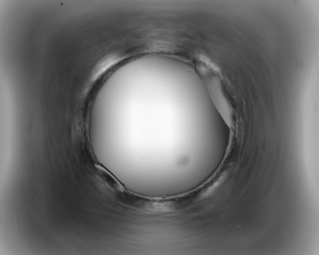 X0000086781453200704271800