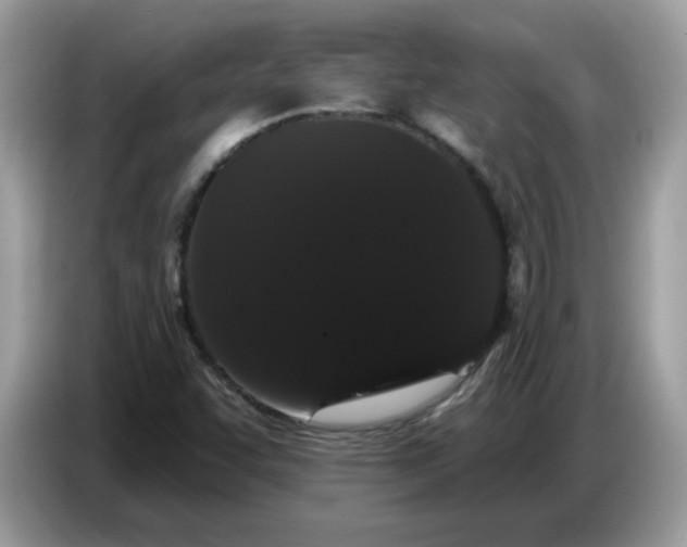 X0000086781455200704271800