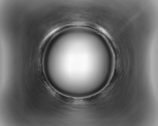 X0000086781456200704271800