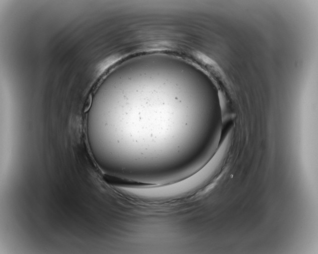 X0000086781457200704271800