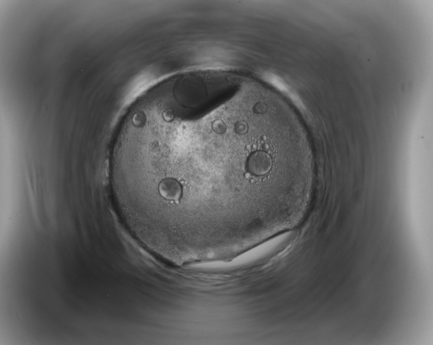 X0000086781459200704271800