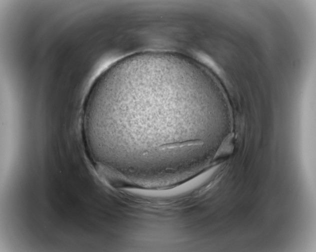 X0000086781463200704271800