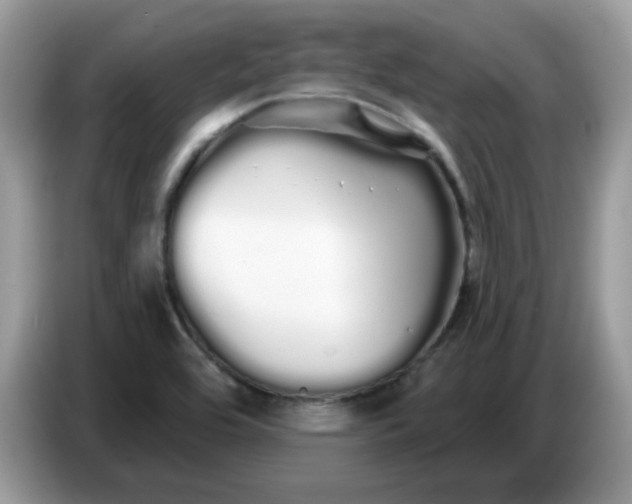 X0000086781464200704271800