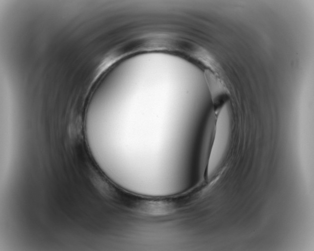 X0000086781465200704271800