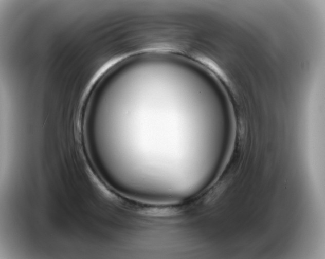 X0000086781468200704271800