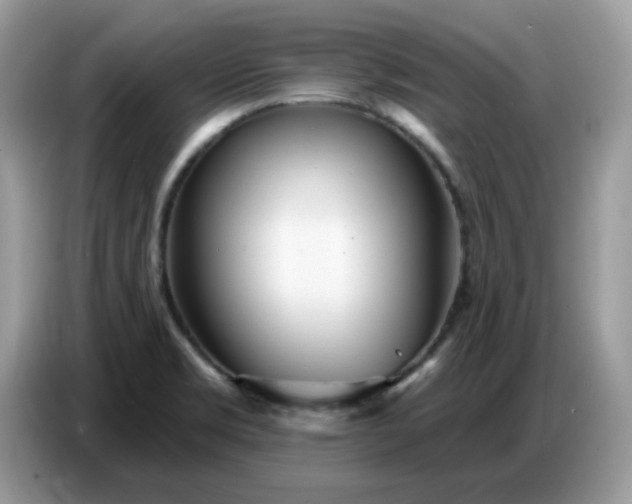 X0000086781469200704271800