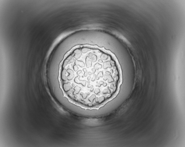 X0000086781470200704271800