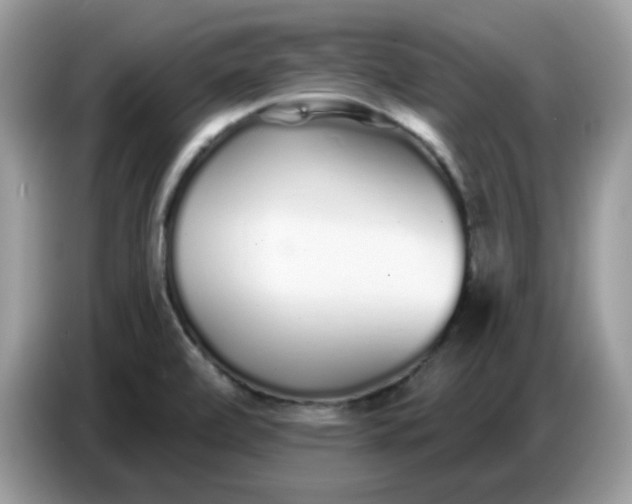 X0000086781472200704271800