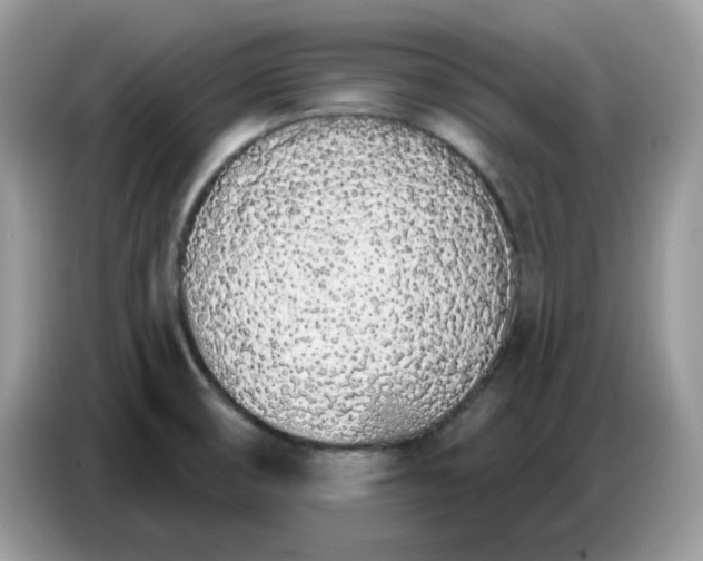 X0000086781474200704271800