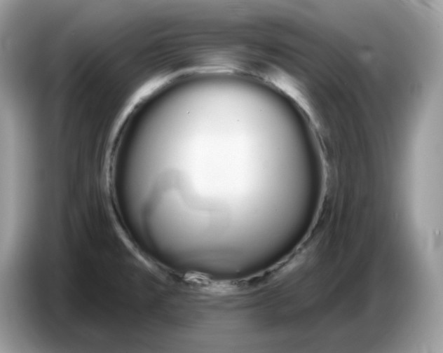 X0000086781477200704271800