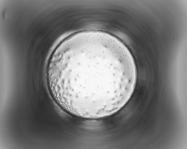 X0000086781478200704271800