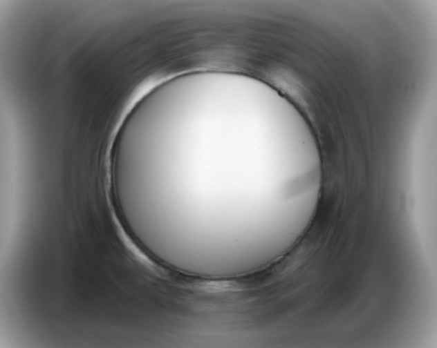 X0000086781479200704271800