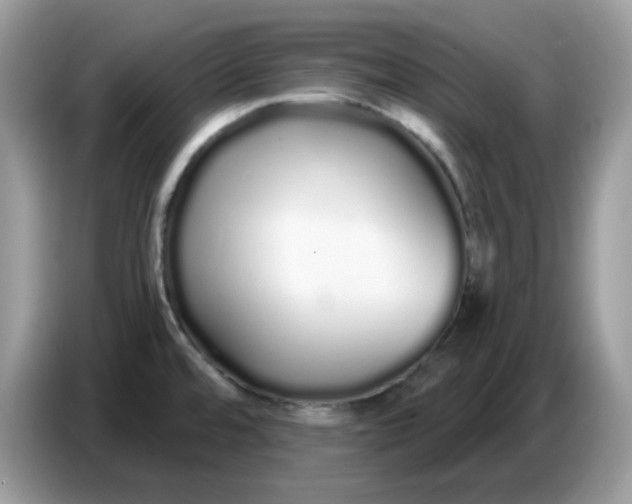 X0000086781480200704271800