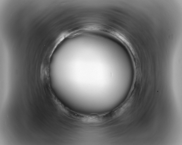 X0000086781481200704271800