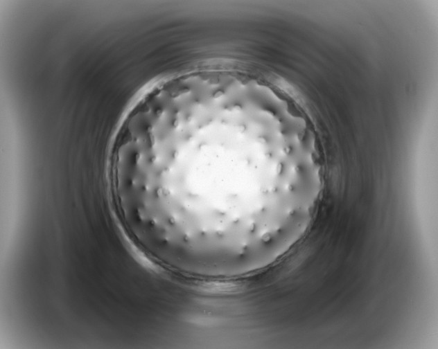 X0000086781482200704271800