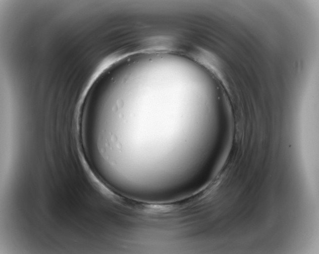 X0000086781483200704271800