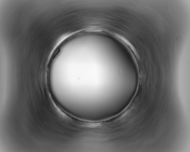 X0000086781484200704271800