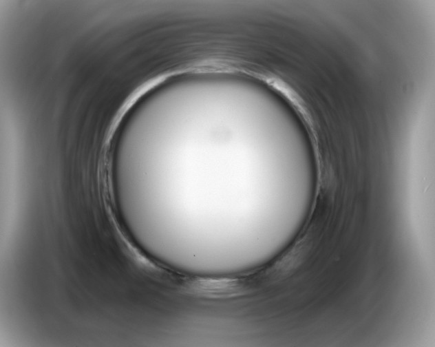 X0000086781486200704271800