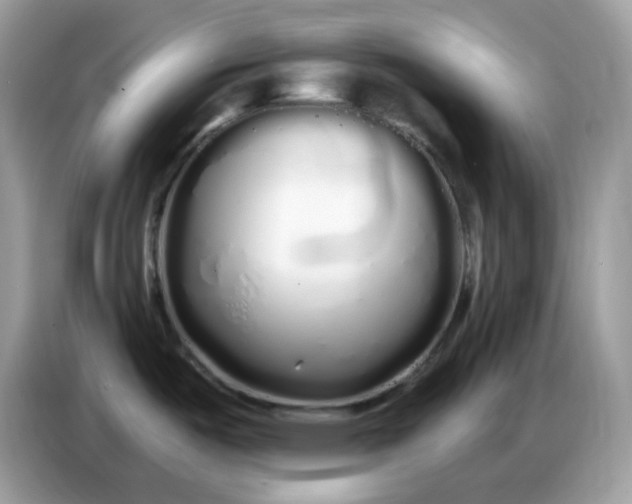 X0000086781487200704271800