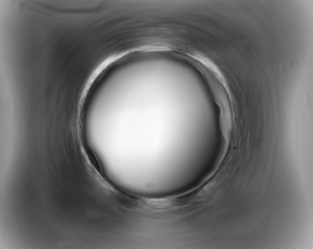 X0000086781488200704271800